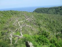Our first view of the Atlantic from Cuba, at a stop on the highway between Varadero and Havana